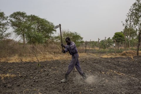 Drought and famine threaten the lives of millions in East Africa